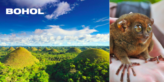 Bohol Bohol