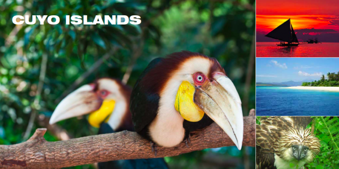 Cuyo Islands Cuyo Islands