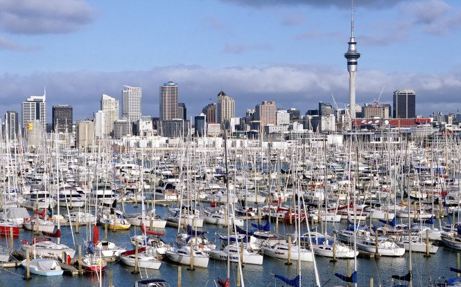 Marina Projects to optimise Westhaven Marina in Auckland, New Zealand