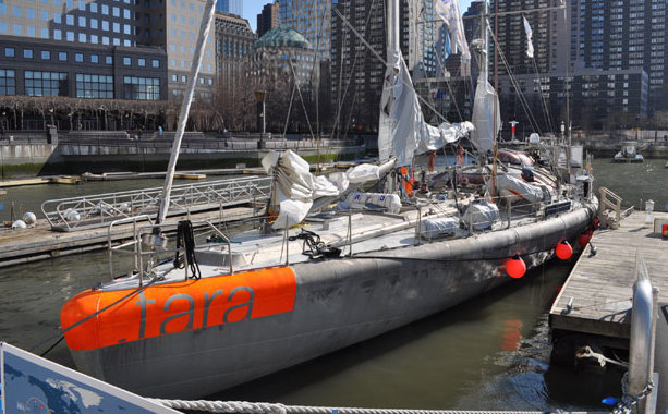 119´ Sailing Yacht Tara at Dennis Conner's North Cove