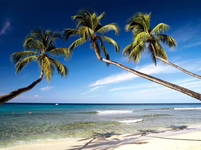 Barbados Beach Barbados Beach