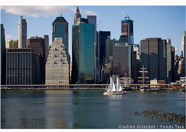 119´ Sailing Yacht Tara Arrives at Dennis Conner’s North Cove