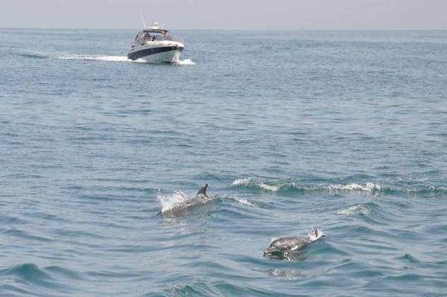 Abu Dhabi´s Yas Marina launches its new Cruising Club