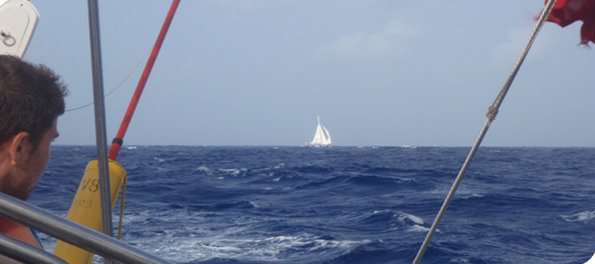 Clipper 11-12 Round the World Yacht Race: Race 11 – Day 3: Tactics heat up