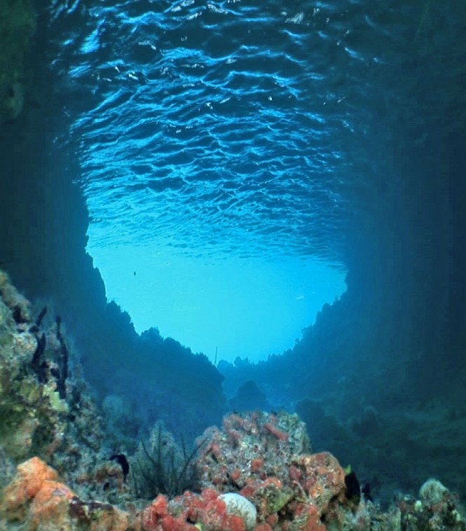 Sicily - underwater