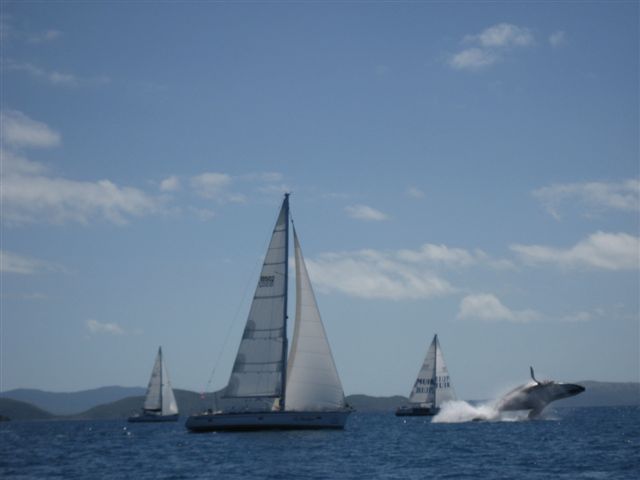 All teams are winners at Audi Hamilton Island Race Week 2012