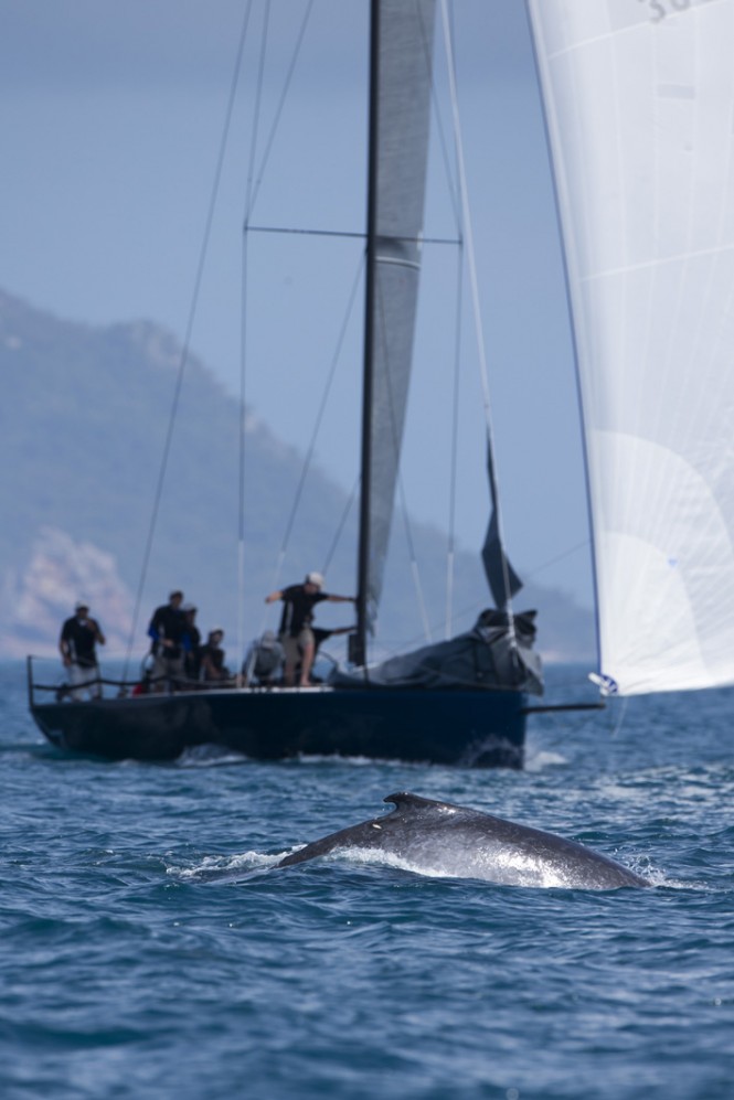 Whale and Dark Star yacht - Photo Credit: Andrea Francolini/Audi Whale and Dark Star yacht - Photo Credit: Andrea Francolini/Audi
