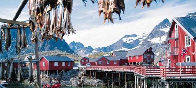 Stockfish - Norway Stockfish - Norway