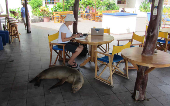 Oyster World Rally 2013: Stopover in the Galapagos
