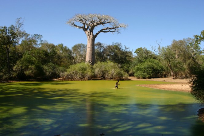 Madagascar
