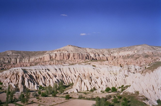 Red Valley Turkey