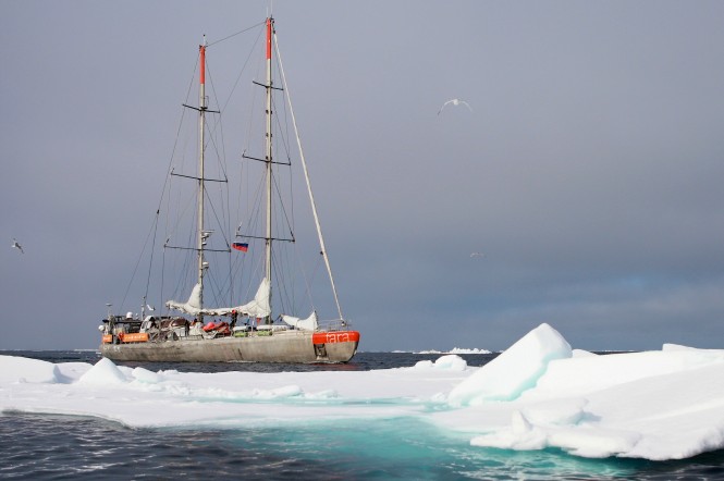 Sailing yacht Tara enters the heart of the Arctic