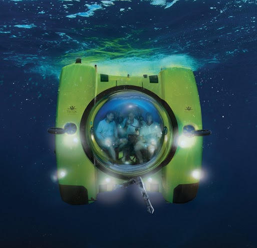 Deep-diving submersibles by Triton at the 2013 FLIBS