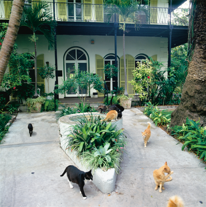 Hemmingway Home and Museum - Image credit to VISIT FLORIDA