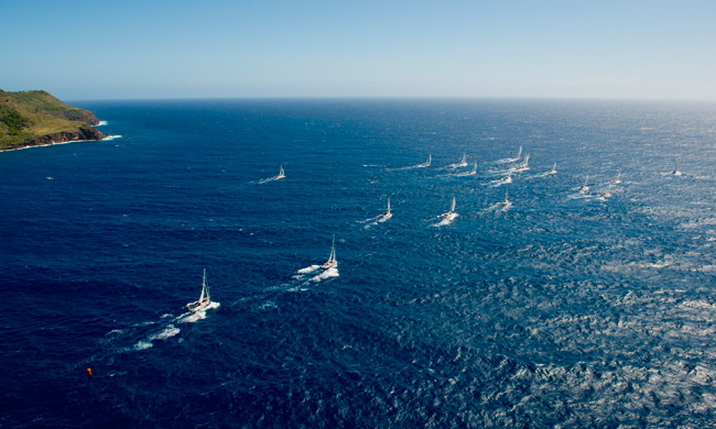 Oyster World Rally fleet