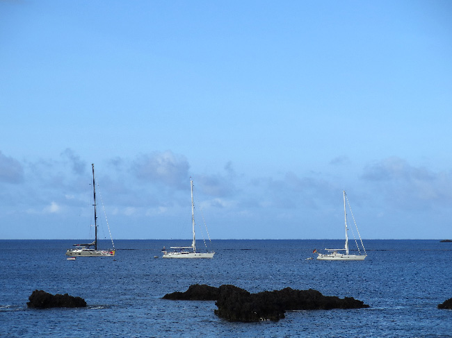 Inaugural Oyster World Rally to conclude next month