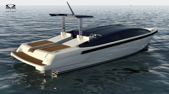9.5m Limousine Tender - aft view 9.5m Limousine Tender - aft view