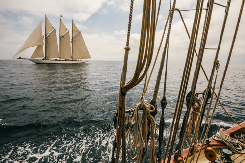 Pendennis Cup 2014: Day 3