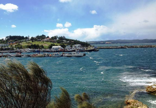 Port of Eden Marina – The Safe Harbour Project
