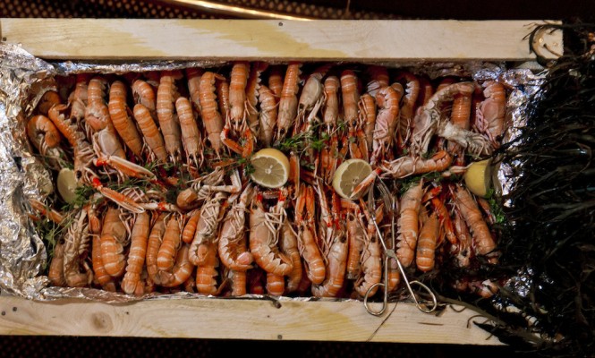 Photo by Henrik Trygg -langoustines Photo by Henrik Trygg -langoustines
