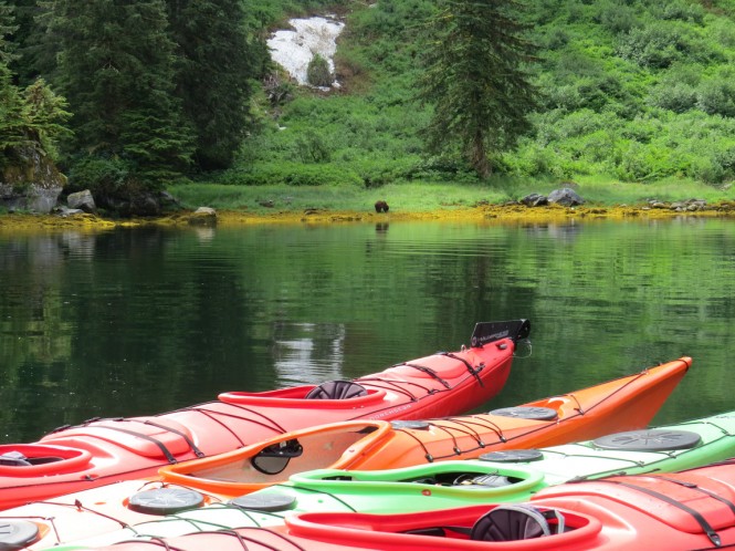 Kayaking in Alaska - Image credit to Viaggio Charters Kayaking in Alaska - Image credit to Viaggio Charters