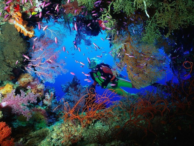 Red Sea, Egypt
