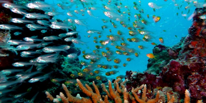 Similan Islands