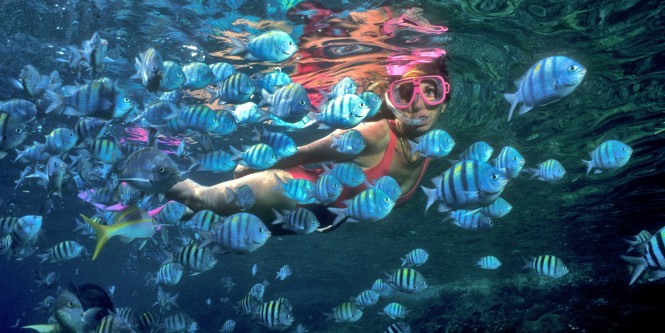 The Best Diving Spots Off Your Luxury Yacht