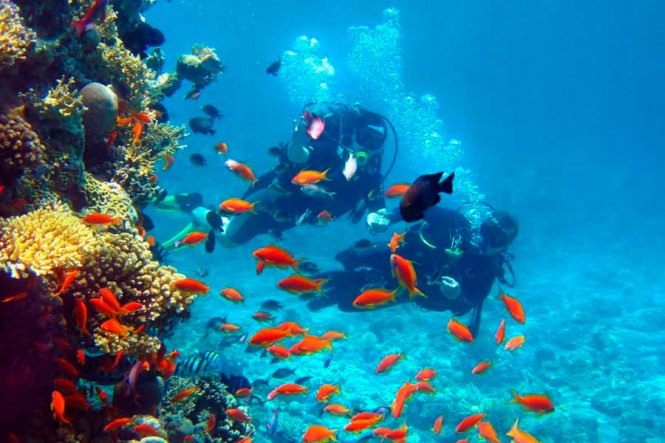Diving in Mexico