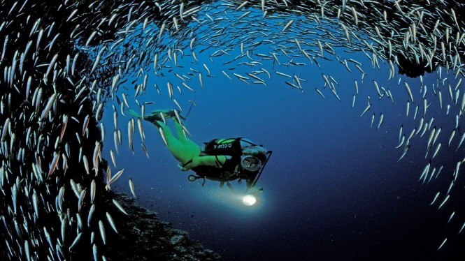 French Polynesia diving