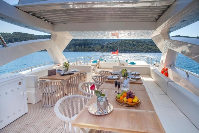 LIDIA III flybridge