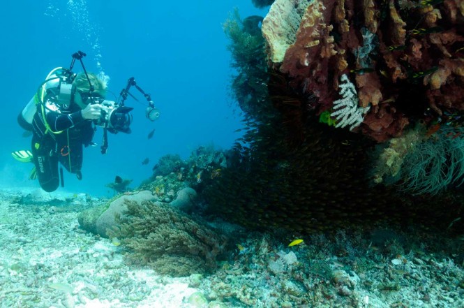 Lamima - Diving