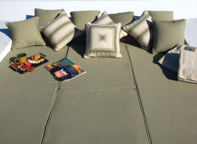 Tigers Eye - sunpads