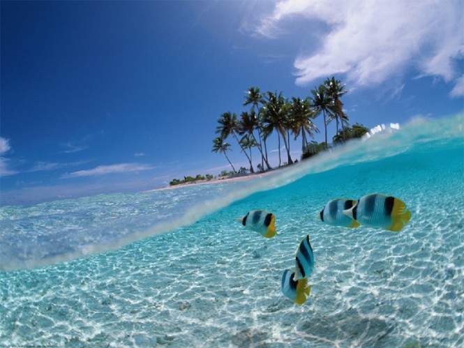 Tropical yacht charters are an evergreen delight