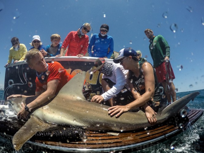 Upcoming Event: Founders’ 2016 by International SeaKeepers Society at Fort Lauderdale