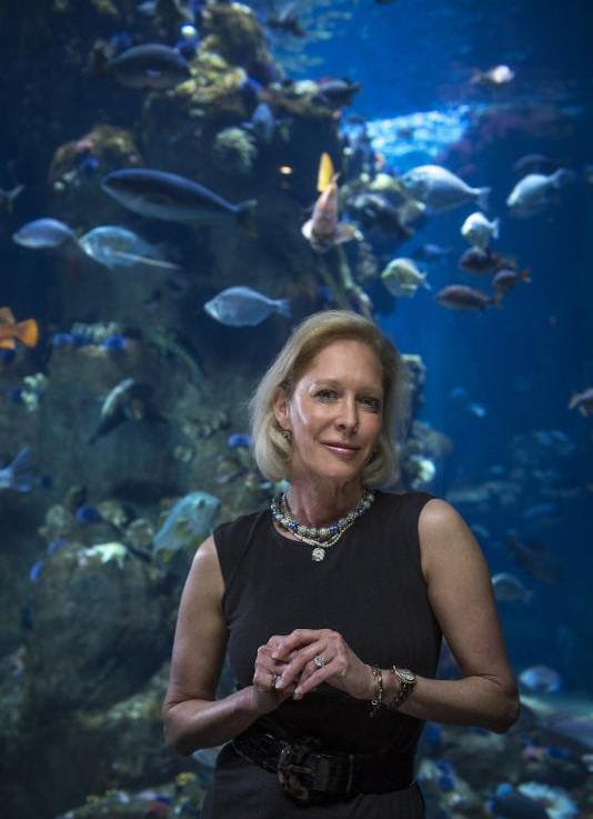 International SeaKeepers Society to honour Bermuda scientists at annual event