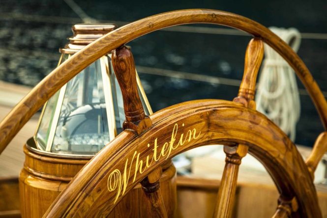 Whitefin rudder and compass