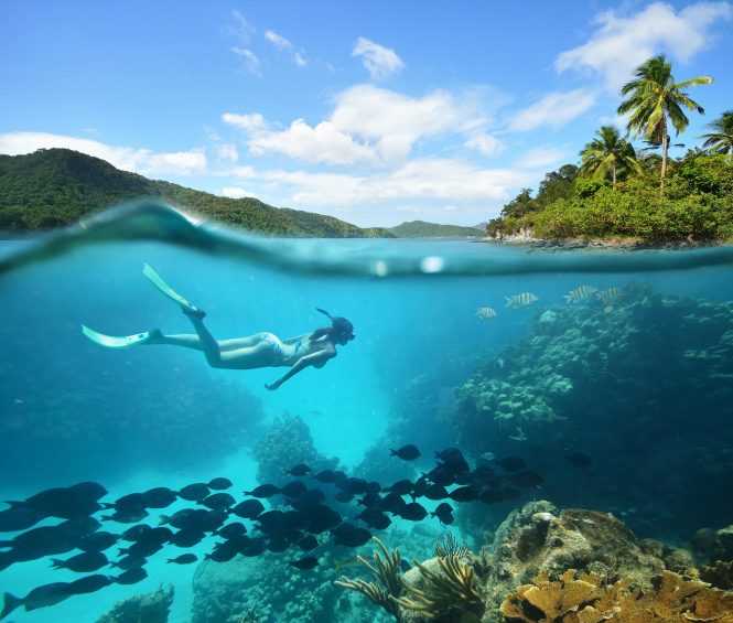 Ocean Awards 2019 winners announced