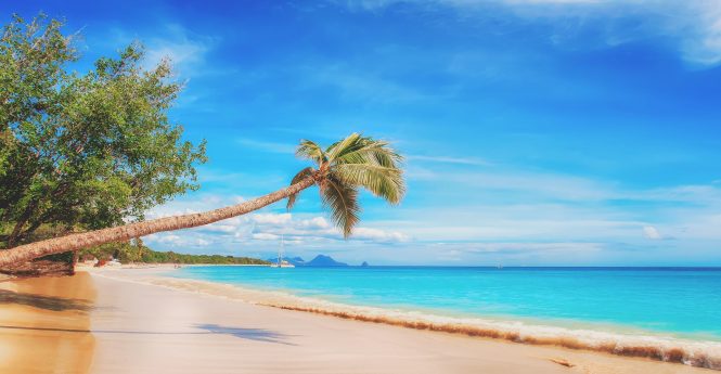 Beautiful Caribbean sand beach