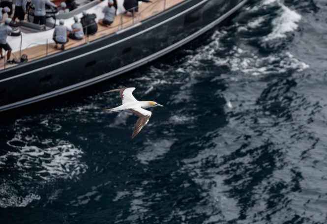Millennium Cup Regatta starts in the Bay of Islands