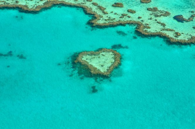 Great Reef Barrier in Australia