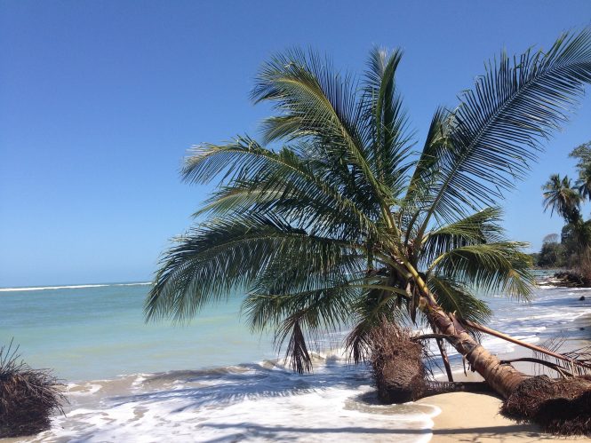 Beautiful Costa Rica welcomes yacht charters with new marine reform law