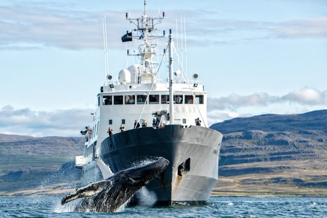 Adventure-filled luxury charters with NANSEN EXPLORER yacht in Antarctica or Greenland