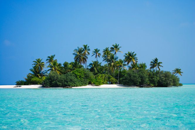 Maldives - Rhihveli Baby Island (Bird Island)