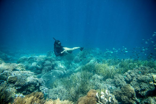 Snorkelling