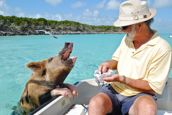 Exumas in the Bahamas