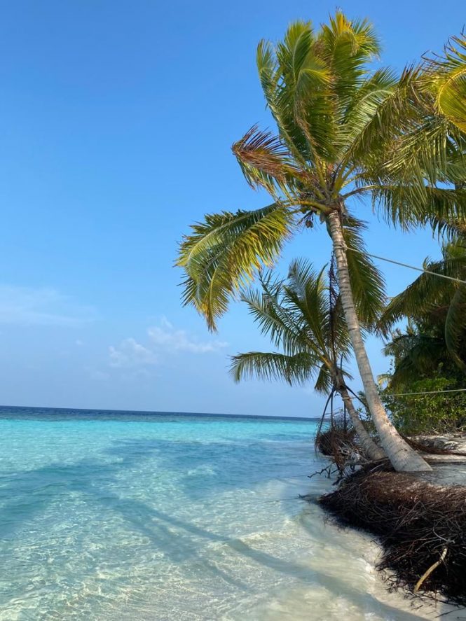 Pristine waters of the Maldives