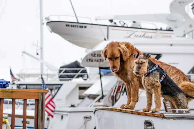 Safety on board