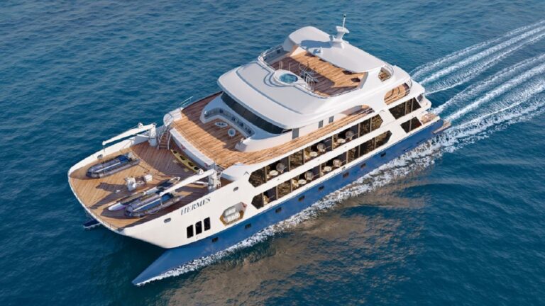 Motor Catamaran HERMES