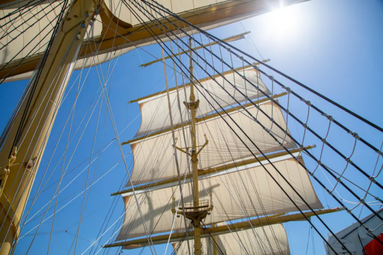 Rigging